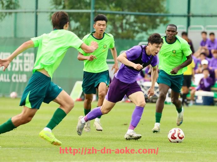 澳客足彩-法甲联赛公平竞争机制及实施情况