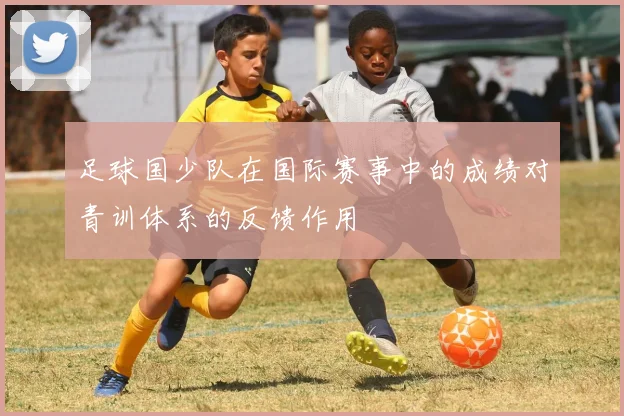 足球国少队在国际赛事中的成绩对青训体系的反馈作用