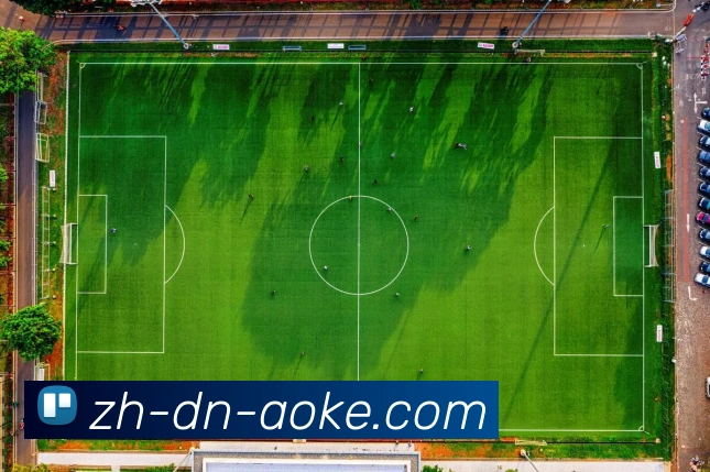 App Interface Preview